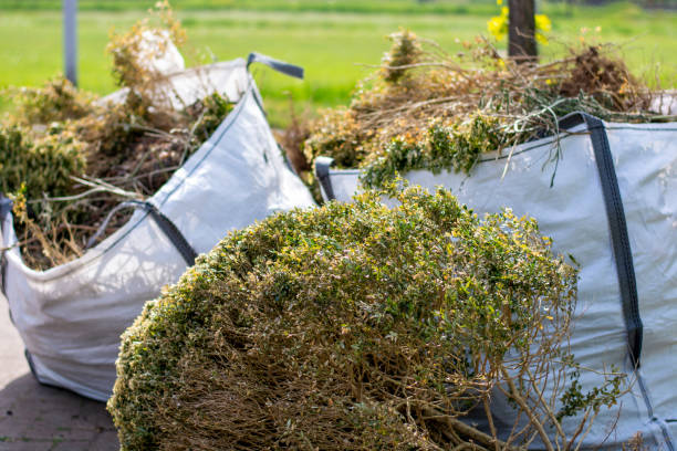 Best Construction Debris Removal  in Cortland, IL